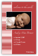 audrey2008